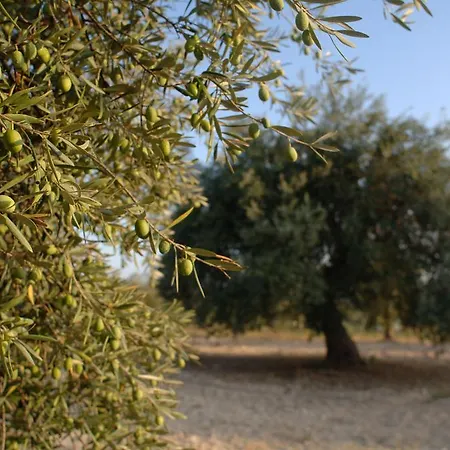 مزرعة للإقامة Zottopera - Dimora Di Sicilia