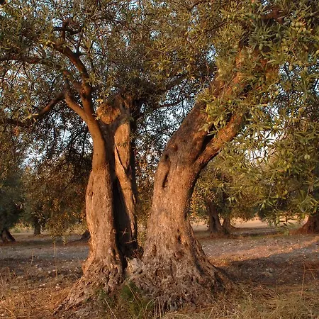 مزرعة للإقامة Zottopera - Dimora Di Sicilia